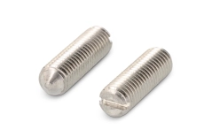 Schrauben DIN 553 M2x2 A1