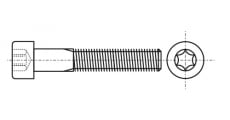 ISO 14579 Болт с цилиндрической головкой под torx - Інтернет-магазин Dinmark