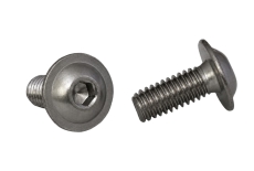 Bolt ISO 7380-2 M6x16 A2 L