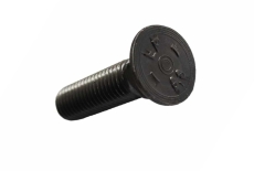 Bolzen DIN 608 M12x100 8,8
