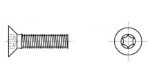 ISO 14581 Гвинт з потайною головкою під torx - Інтернет-магазин Dinmark