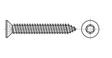 ISO 14586-C Саморіз з потайною головкою під torx - Інтернет-магазин Dinmark