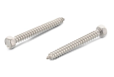 Selbstschneidend DIN 7976-C d8x32 A2