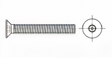 https://dinmark.com.ua/images/ART 9113 Винт антивандальный с потайной головкой - Інтернет-магазин Dinmark