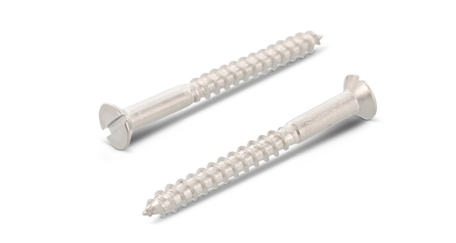 Screw DIN 97 M10x100 A4