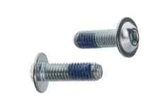 ISO 7380-2 10.9 zinc Bolt with semicircular head and nylon coating DIN 267-28 KLF
