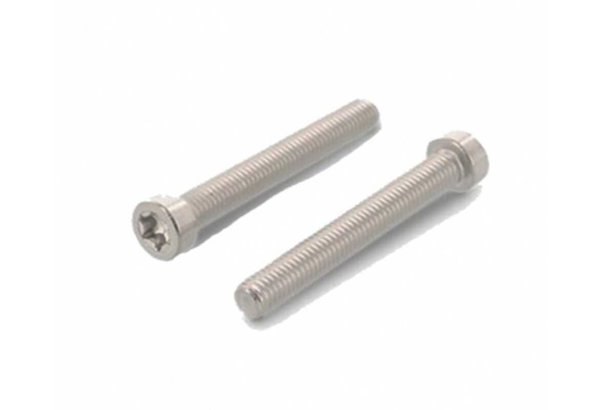 ISO 14580 A4 Bolt with cylindrical reduced head for torx