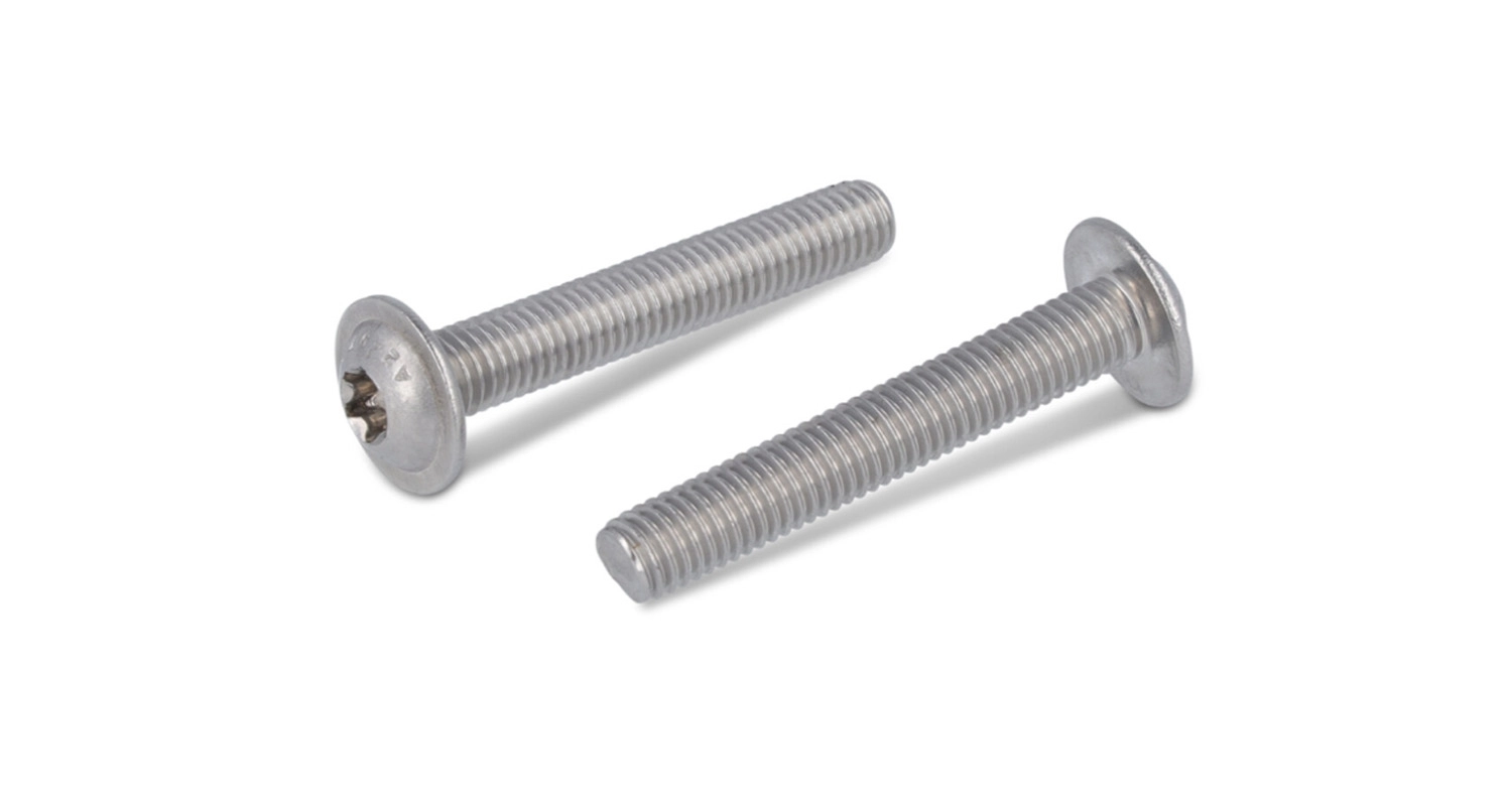 Болт ISO 7380-2 M6x6 A2 torx