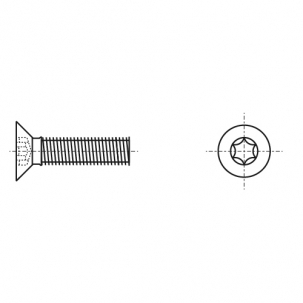ISO 14581 4,8 цинк Гвинт з потайною головкою під torx - Dinmark