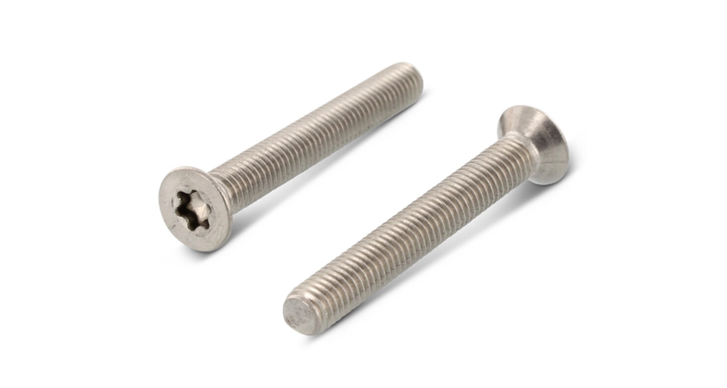 Гвинт ISO 14581 M8x110 A4 TX45