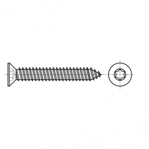 ISO 14586-C A2 Саморіз з потайною головкою під torx - Dinmark