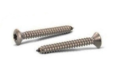 ISO 14587 A4 Self-tapping screw with semi-countersunk head for torx - Інтернет-магазин Dinmark