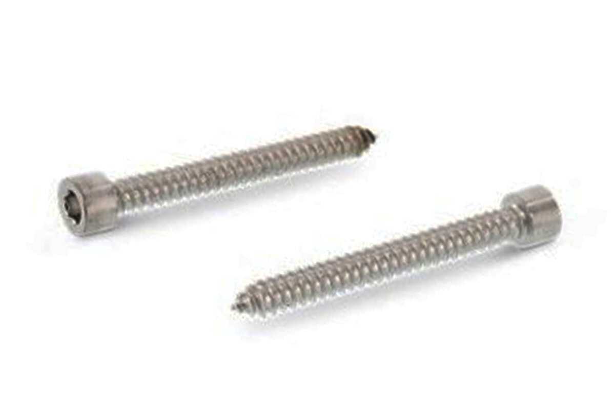 ART 9051 A2 Self-tapping screw with cylindrical head under torx