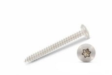 ART 9065 A2 Self-tapping screw with semicircular head for torx - Інтернет-магазин Dinmark