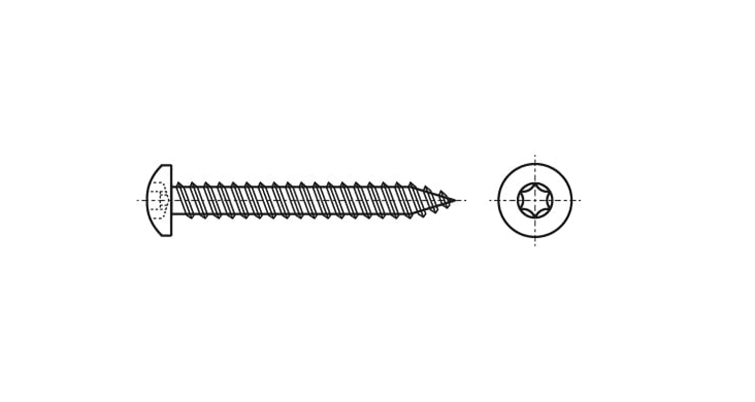 ISO 14585-C A2 Self-tapping screw with semicircular head for torx Dinmark