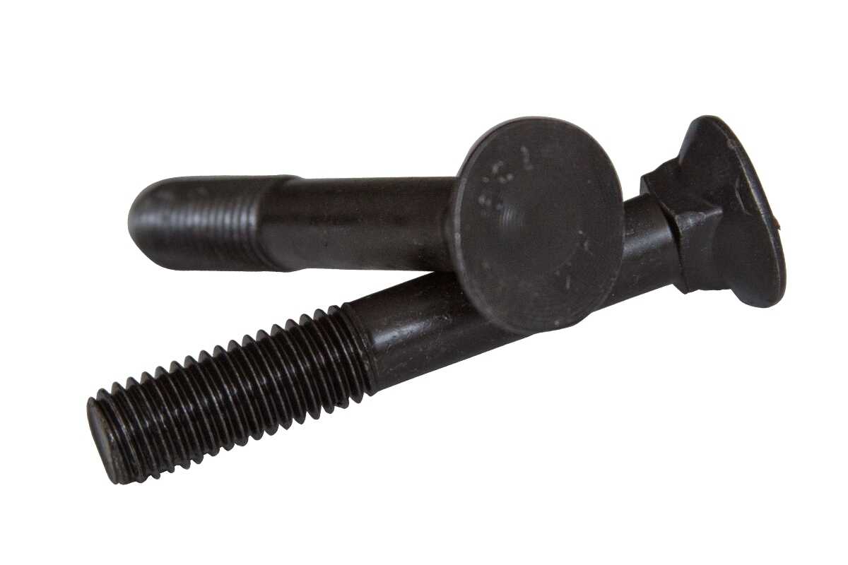 Bolzen DIN 608 M12x55 8,8 + DIN 934
