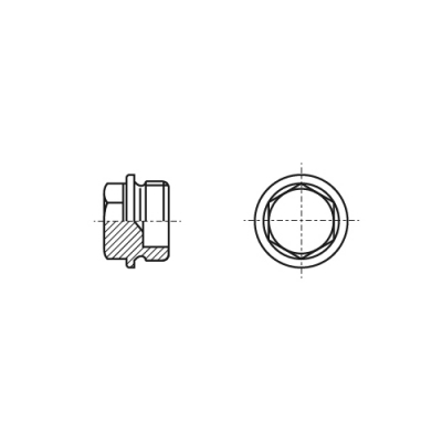 DIN 7604-A цинк Заглушка різьбова з шестигранною головкою і фланцем - Dinmark
