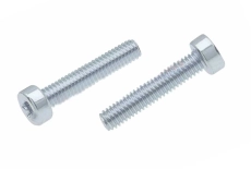ISO 14580 8.8 Zink Schraube mit zylindrischem reduziertem Kopf unter Torx - Інтернет-магазин Dinmark