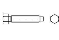 DIN 561-A 8,8 Болт з шестигранною головкою і цапфою