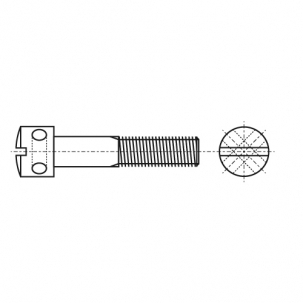 DIN 404 5,8 Винт с цилиндрической головкой и отверстиями креслення
