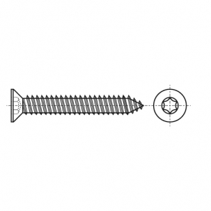 ISO 14586-C цинк Саморіз з потайною головкою під torx - Dinmark