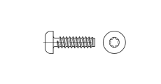 https://dinmark.com.ua/images/ISO 14585-F Саморіз з напівкруглою головкою під torx - Інтернет-магазин Dinmark