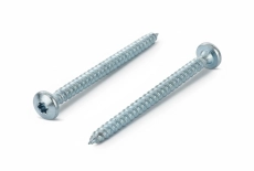 ART 9048 zinc Screw with semicircular torx head