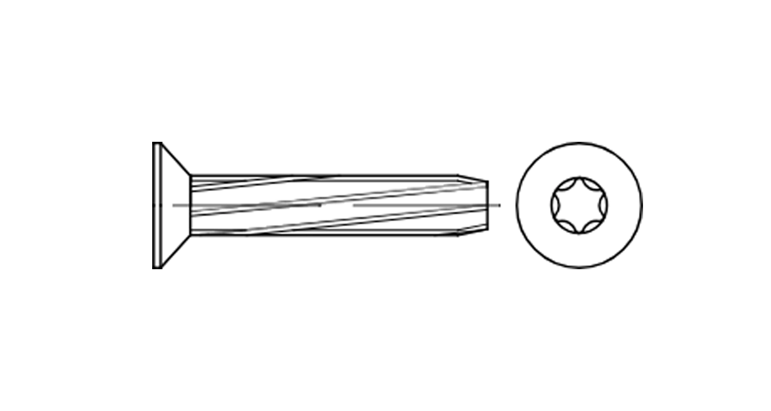 Screw DIN 7516 D M6x45 zinc TX30 креслення