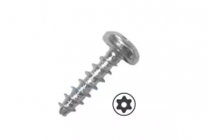 AN 745 zinc Screw with a semicircular head for thermoplastics - Інтернет-магазин Dinmark