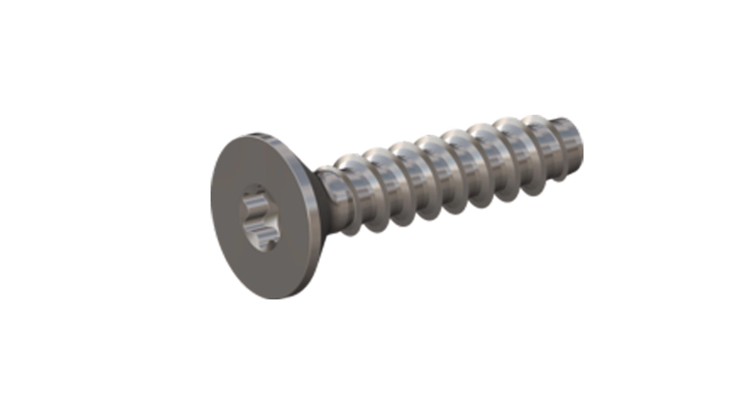 EB 89700 C A2 Саморіз з потайною головкою під torx