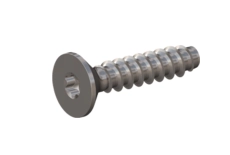 Self-tapping EB 89700 C d2,2x8 A2  torx