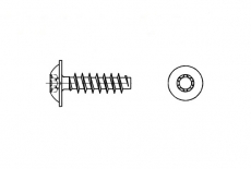AN 171 zinc Self-tapping screw for thermoplastic under torx - Інтернет-магазин Dinmark