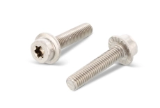Bolzen ISO 14579 M8x20 A2 TX40 flansch gezackt