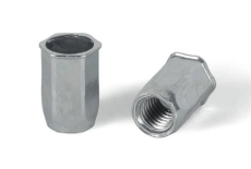 Riveted nut oftenково six M5 (3-5,5) zinc Bralo, increased b.