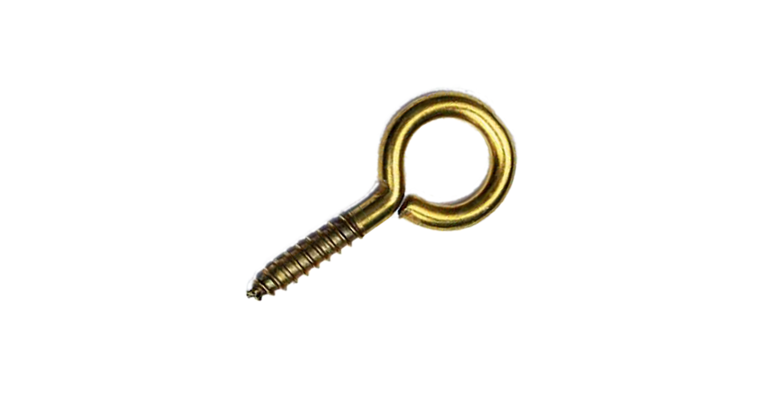 AN 303 brass Screw with ring