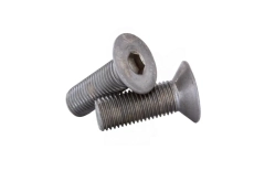 Болт DIN 7991 M8x16 A2 з нейлоновим покриттям DIN 267-28 KLF