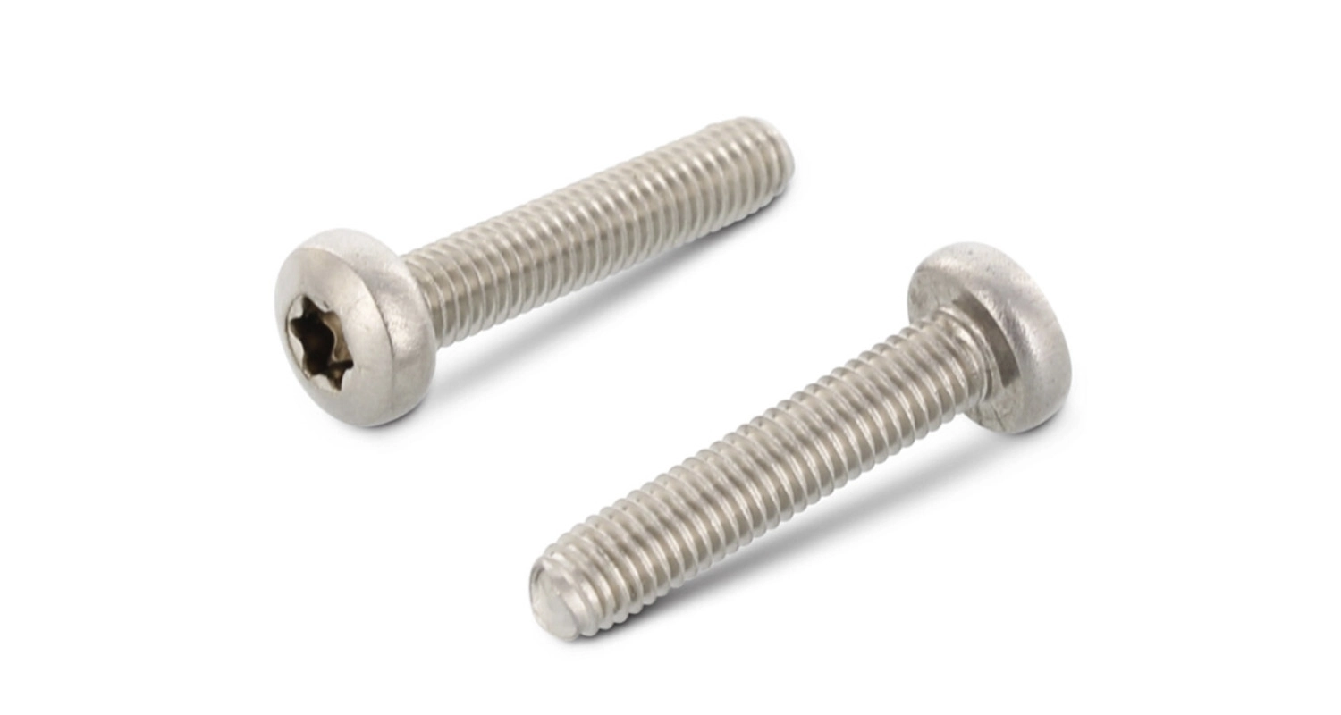 DIN 7500 C A2  torx Self-tapping Screw with semicircular head
