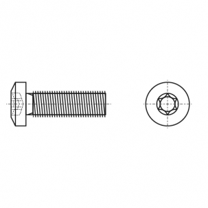 ISO 14583 A4 Гвинт з напівкруглою головкою під torx