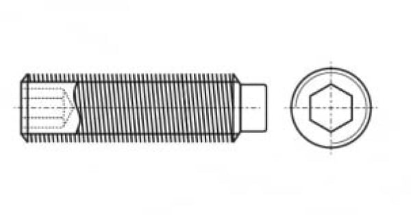PN 82316 Винт установочный с внутренним шестигранником и цапфой.