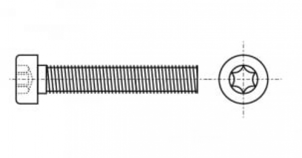  Torx-Innensechskantschraube mit zylindrischem Kopf ISO 14580 