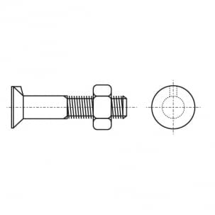 Countersunk head bolt with projection (whisker) DIN 604