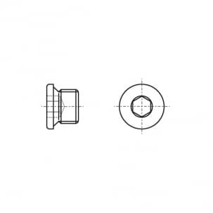 Cylindrical threaded plug DIN 908