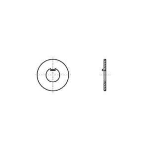 PN 82016 Washer with internal protrusion