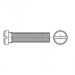 PN 82281 Semi-circular socket head screw